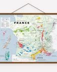 Wine Regions of France Framed