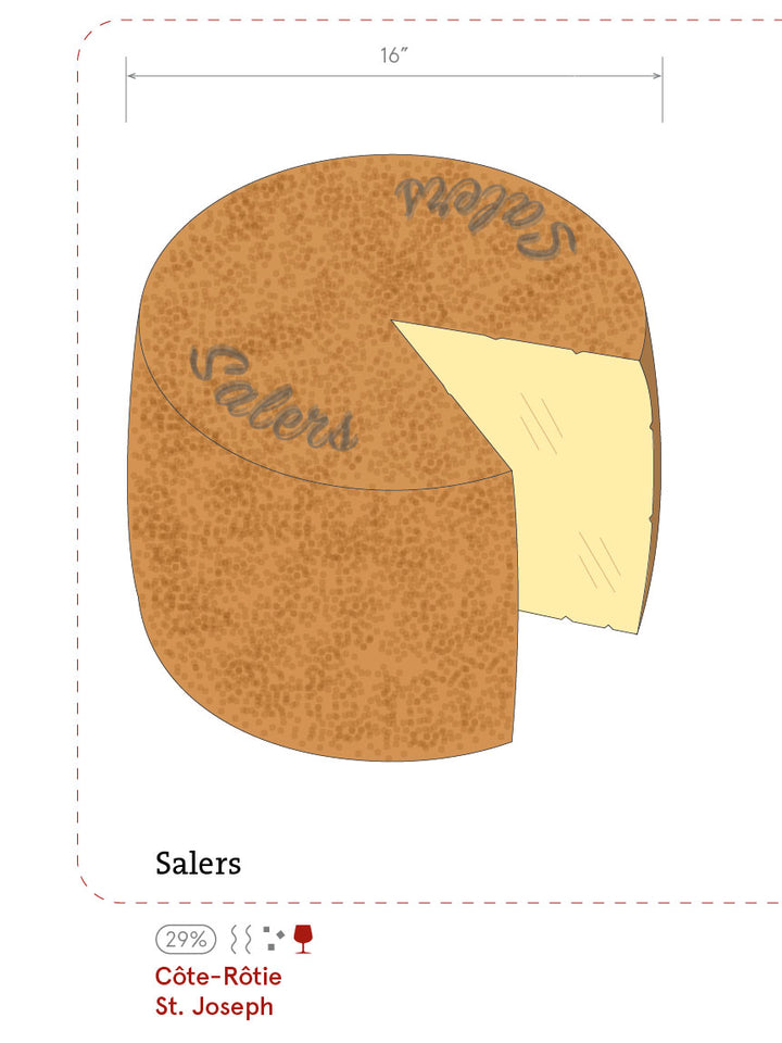 The Cheeses of France - Salers