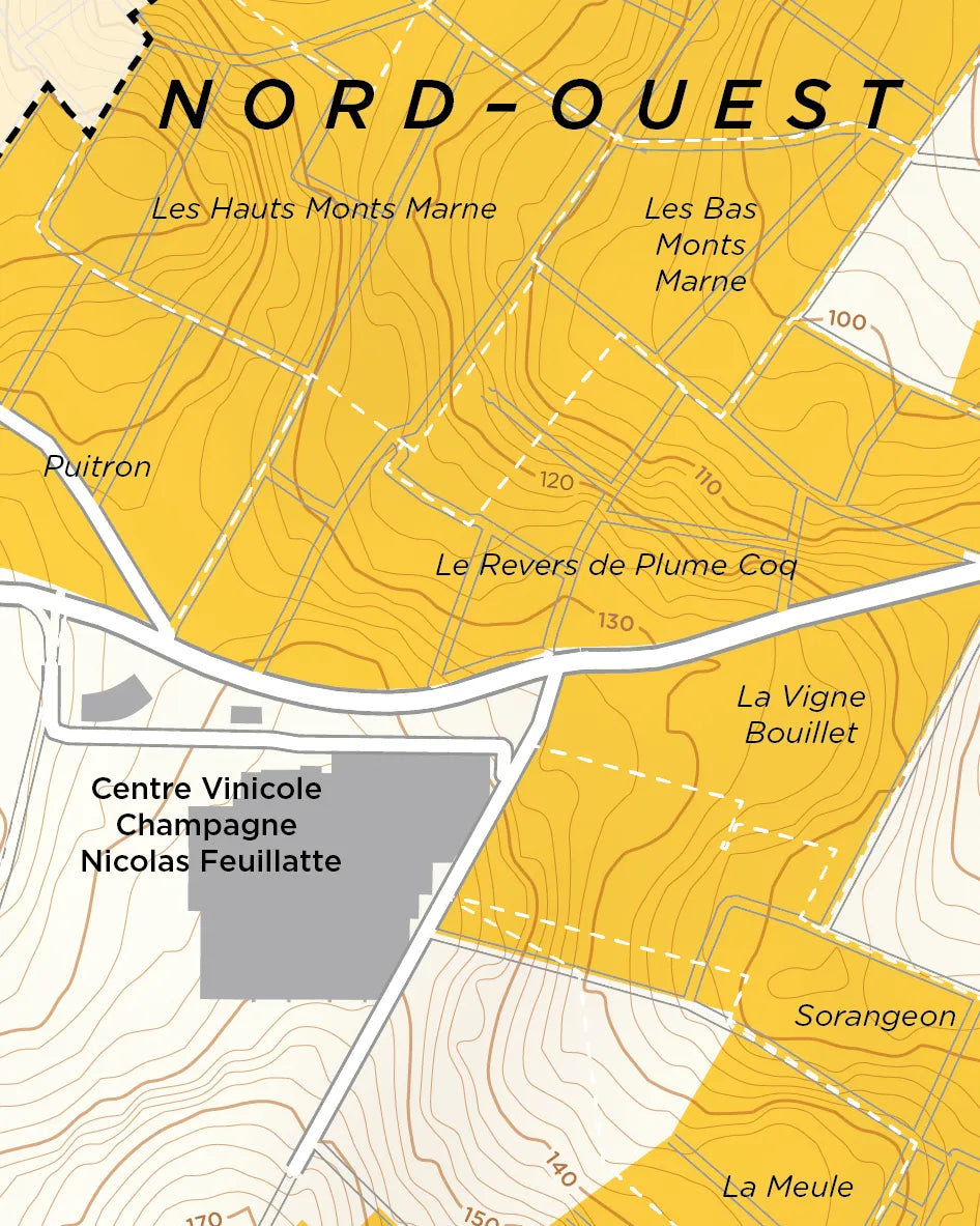 Chouilly Grand Cru, Côte des Blancs map by De Long shows vineyard plots and elevations near the grand cru area.