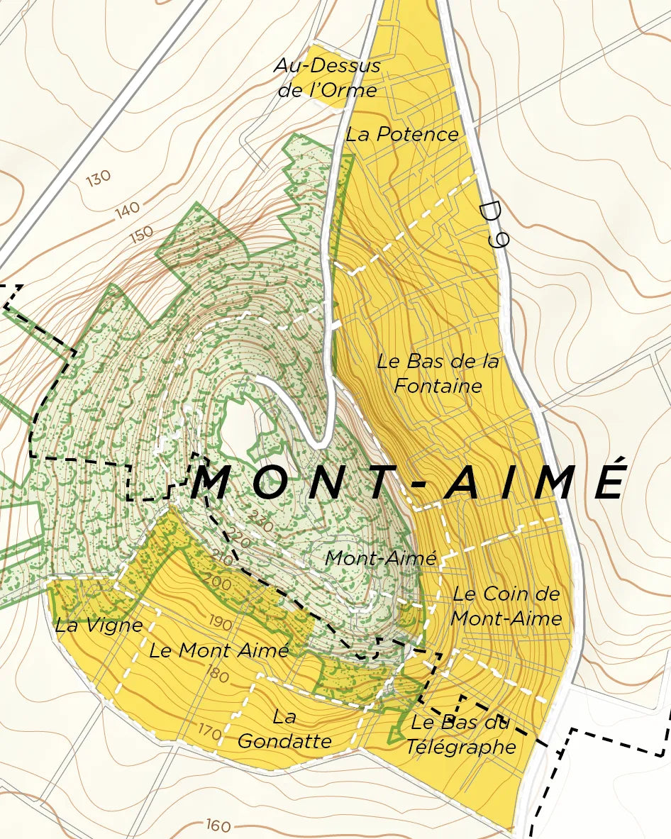 Topographic map of Vertus Premier Cru, Côte des Blancs, detailing contour lines, forests, vineyards, footpaths, and sites like La Gondatte and La Potence—perfect for mapping Champagne terroirs.
