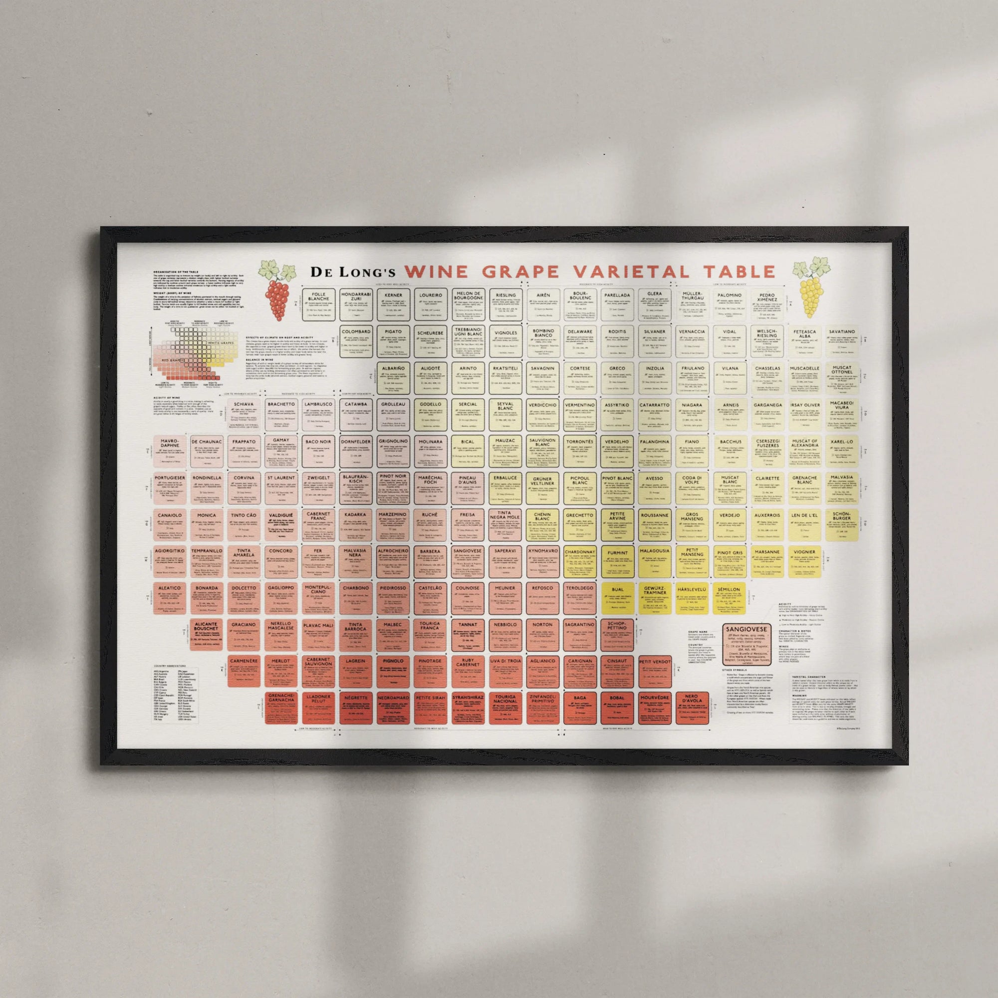 A Wine Grape Varietal Table Framed (24 x 36 in) hangs on a light wall, showing organized colored blocks with names and details about various wine grape varieties.
