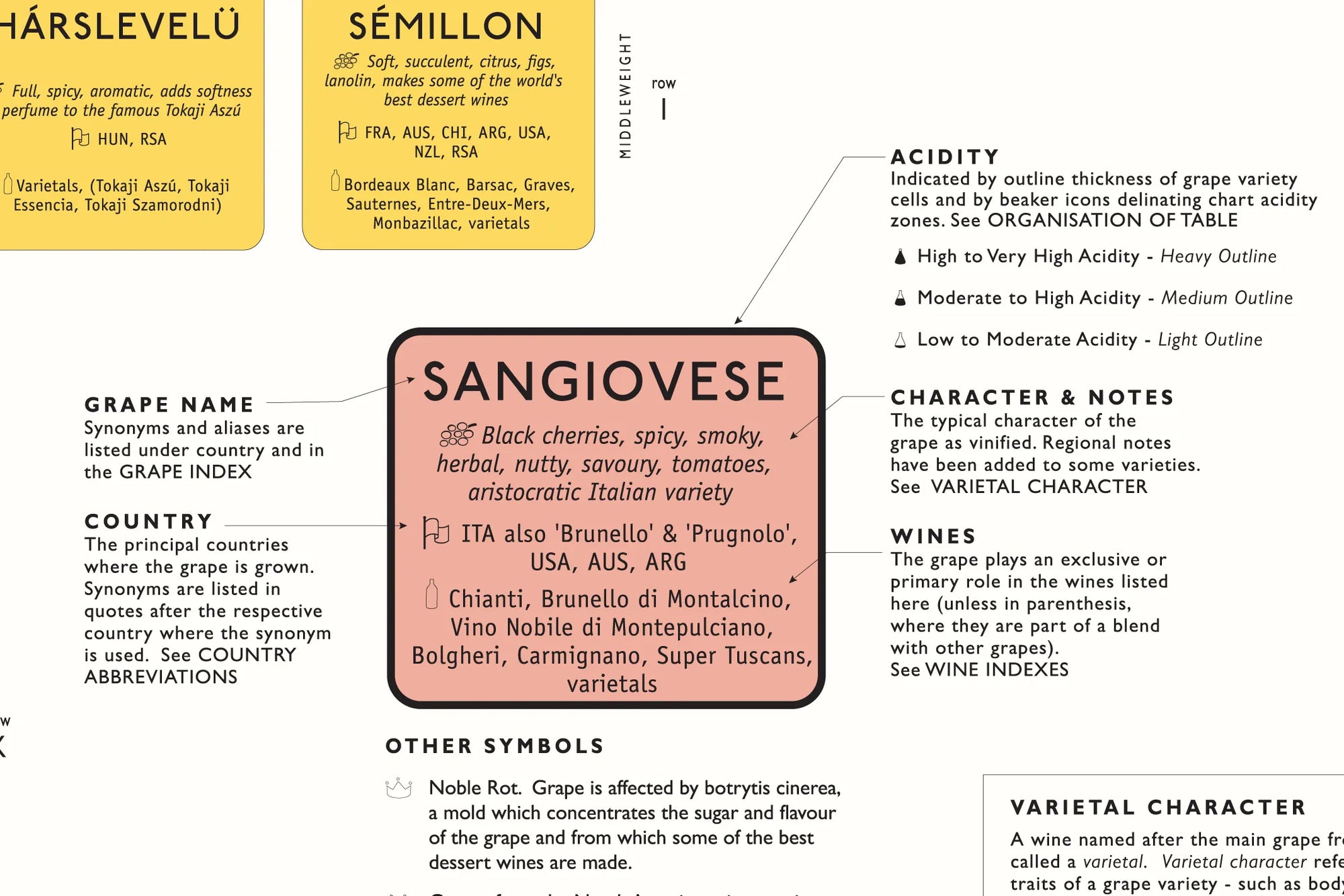 De Long Wine Grape Varietal Table: Sangiovese tasting notes, acidity, synonyms & related varieties for wine lovers.
