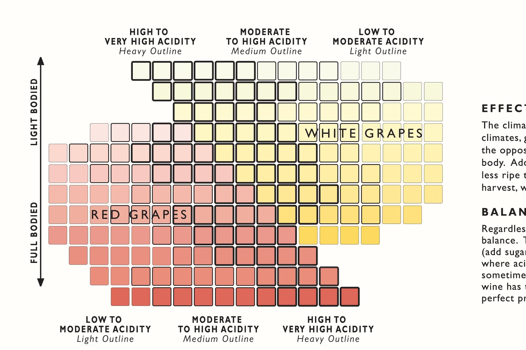 De Long’s Wine Grape Varietal Table maps red and white grapes by acidity and body—perfect for wine lovers.