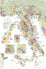 Wine Map of Italy displays the country's wine regions in color, naming regions, DOC/DOCG zones, cities, rivers, and featuring inset maps for islands. Includes legend and scale—a must-have for Italian wine lovers.