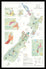 De Long Wine Map of New Zealand Framed shows main islands and wine regions, ready to hang in a wood frame.