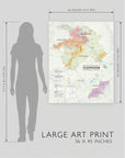 Wine Regions of Champagne - Art Print