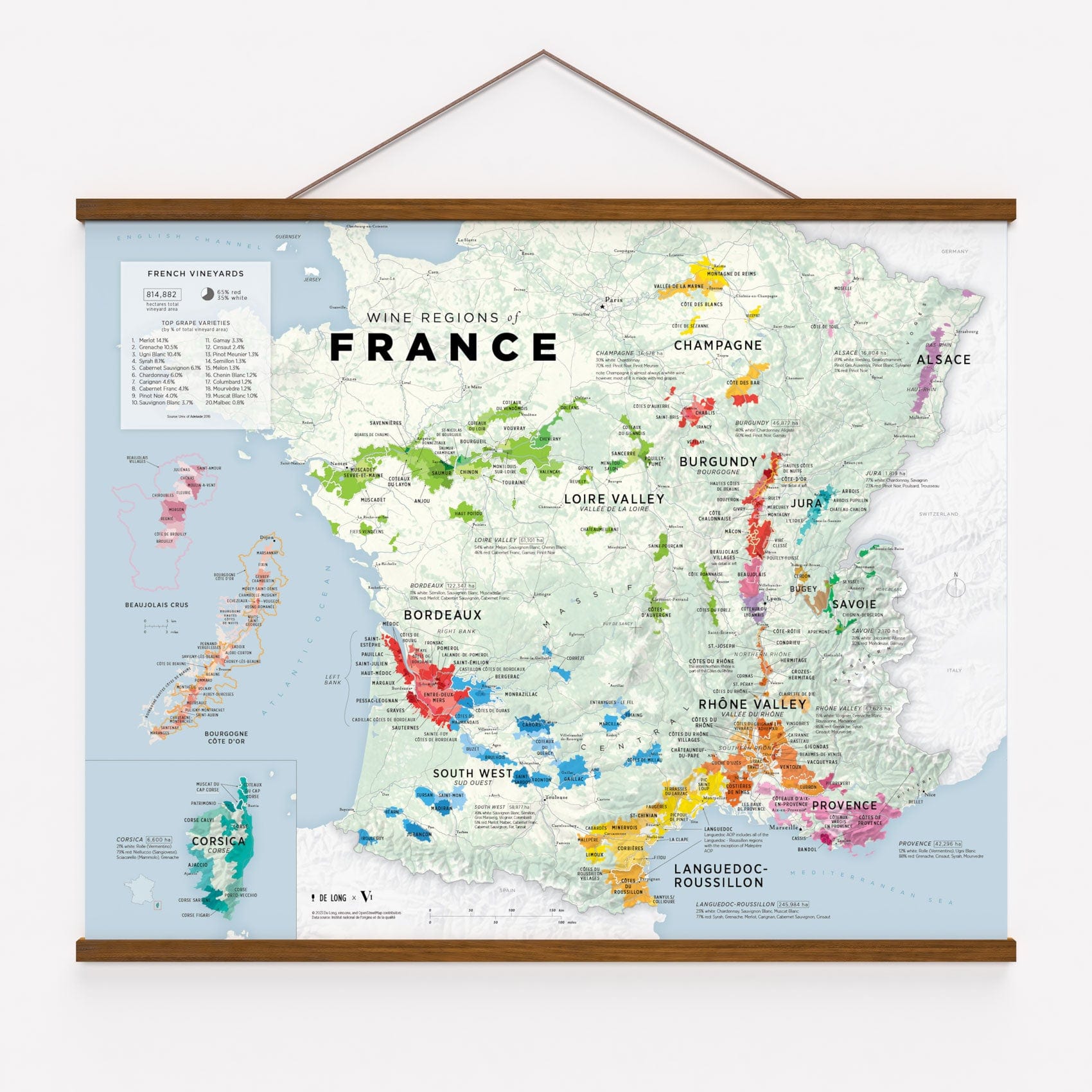 Wine Regions of France Framed