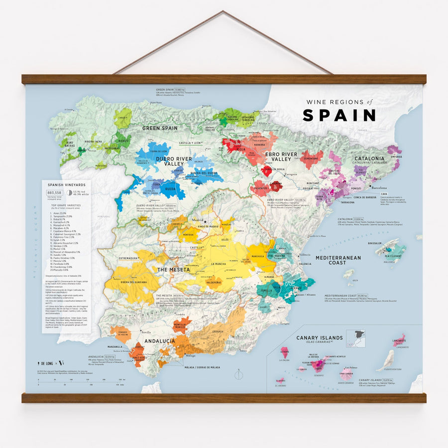 Wine Regions of Spain Framed
