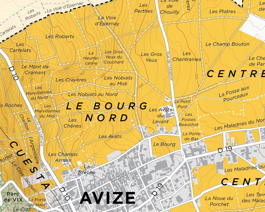 Avize Grand Cru Cote des Blancs detail